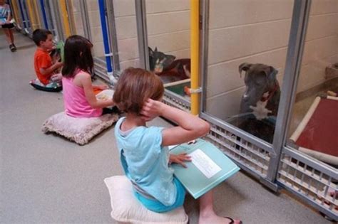 Children Practice Reading Books To Shelter Dogs So They Dont Feel