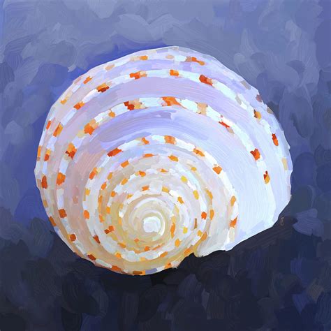 Seashell Iv Painting By Jai Johnson Fine Art America