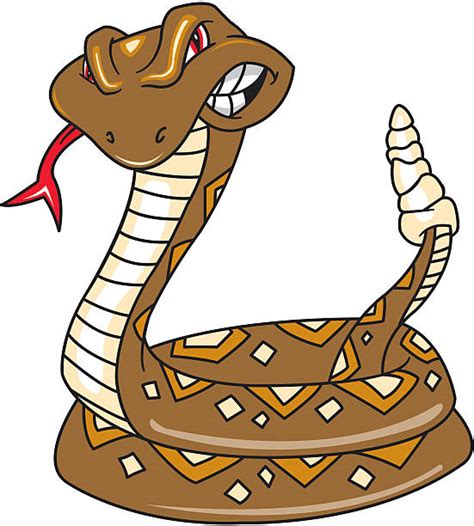 Royalty Free Rattle Snake Clip Art Vector Images And Illustrations Istock
