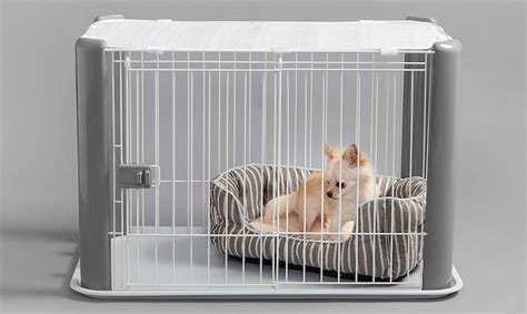 Do Dogs Feel Safe In Their Crates Essential Tips Keepingdog