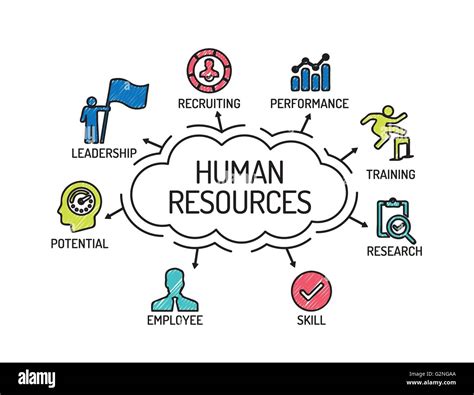 Human Resources Chart With Keywords And Icons Sketch Stock Vector Art