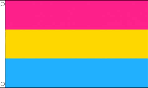 Pan comes from the latin word for all. Pansexual Flag | Buy Pride LGBT Flags & Bunting at Flagman.ie