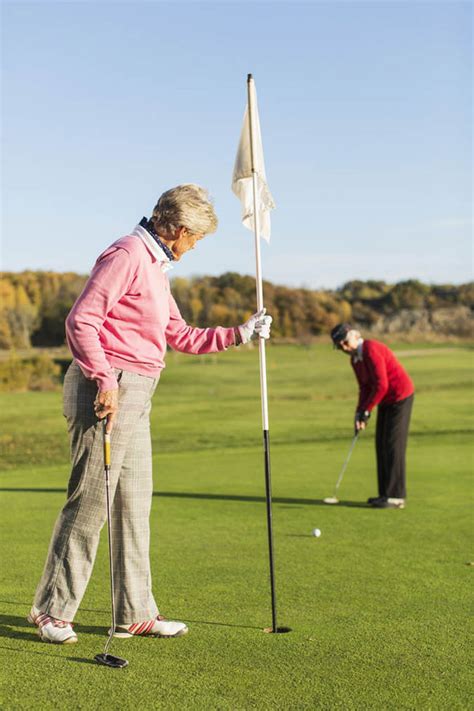 The game at the usual level is played on a course with an arranged progre. Fury as council cuts free golf for pensioners | UK | News ...