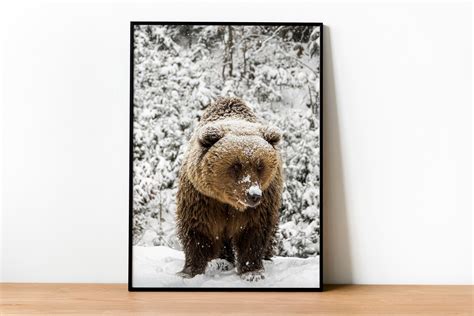 Grizzly Bear Print Brown Bear Poster Animal Wall Decor Etsy