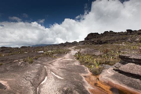 Bizarre Ancient Rocks Of The Plateau Roraima Tepui Venezuela Latin