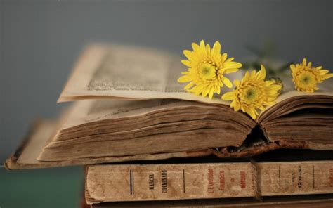 Nice 20 Awesome Still Life Photography Ideas Using Books Book