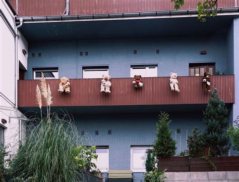 Die Bären Sind Los Foto And Bild Architektur Deutschland Europe Bilder Auf Fotocommunity