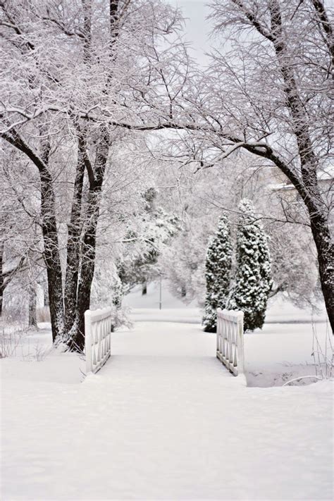 Suklaamarenki Winter Scenes Winter Magic Winter Wonderland