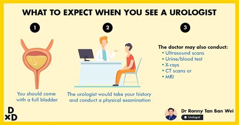 The Ultimate Guide To Seeing A Urologist In Singapore 2020