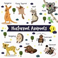Dibujos animados de animales nocturnos con nombre de animal | Vector ...