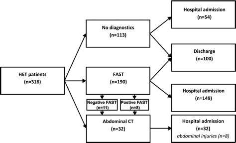 Flow Chart Of Het Patients In The Studied Level Ii Trauma Center