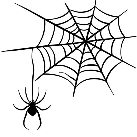 Halloween How To Draw A Spider On A Web Silhouette
