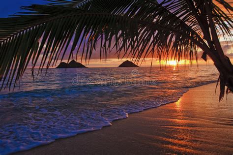 Pacific Sunrise At Lanikai Beach In Hawaii Stock Image Image Of Tropical Sunset 11054631