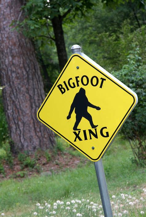 Bigfoot Spotted Crossing Rural New York Highway Fox News