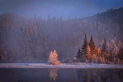 Hd Wallpaper Trees Covered With Fogs Winter Landscape Snow Mountain