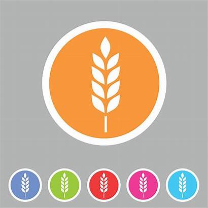Symbol Icon Gluten Whole Grain Label Flat