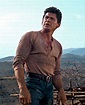 Charles Bronson The Magnificent Seven | Charles bronson, Actor charles ...