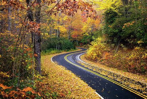 Winding Autumn Path Photograph By Jared Kay Fine Art America