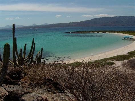 Loreto Bay National Marine Park 2018 All You Need To Know Before You