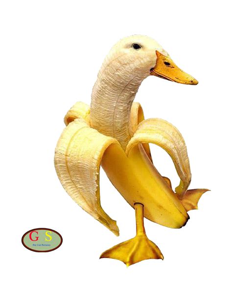 Banana Duck Rhybridanimals
