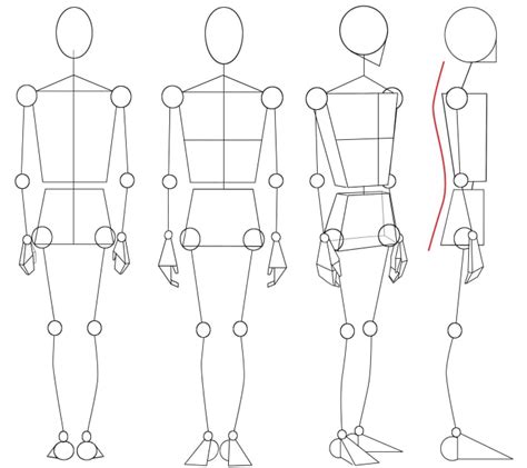 Drawing The Human Figure Angles And Proportions Hubpages