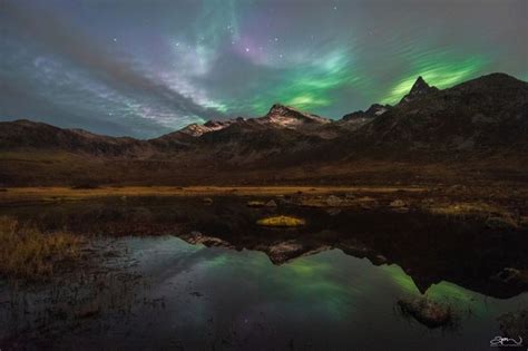 Incredible Shots Of Nature At Night Photo Contest Winners