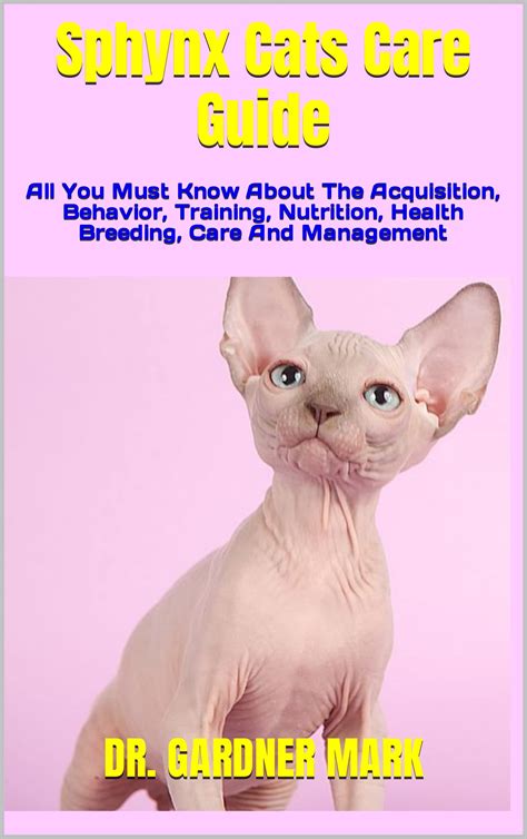 Sphynx Cats Care Guide All You Must Know About The Acquisition