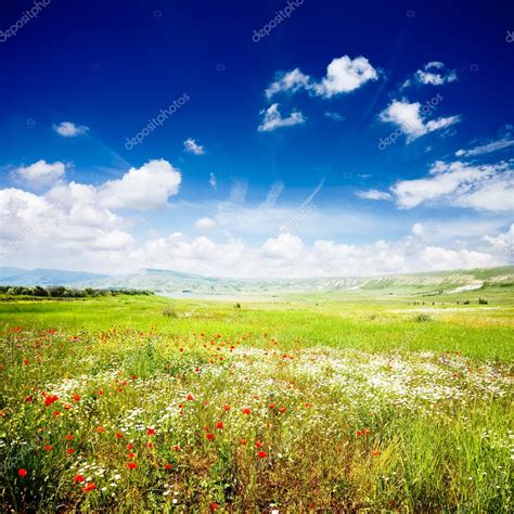 Beautiful Spring Landscape — Stock Photo © Danielsko 3286387