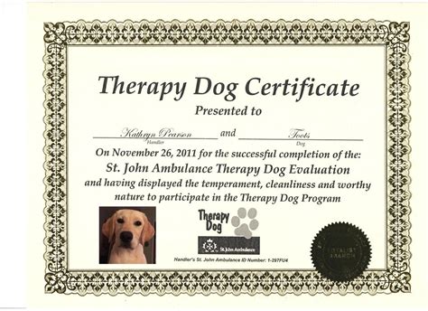 How Do You Certify A Dog As A Therapy Dog Dogwalls