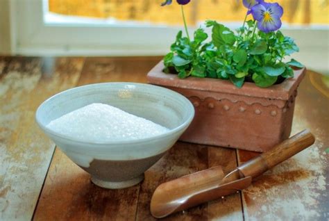 Gardening 101 How To Add Epsom Salts To Soil Gardenista Epsom Salt