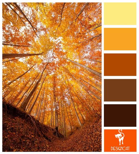 Colors That Match With Orange And Brown Been A Better Portal