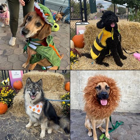 Howl-O-Ween | Rosslyn, VA