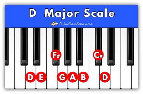 D Major Scale The Complete Guide