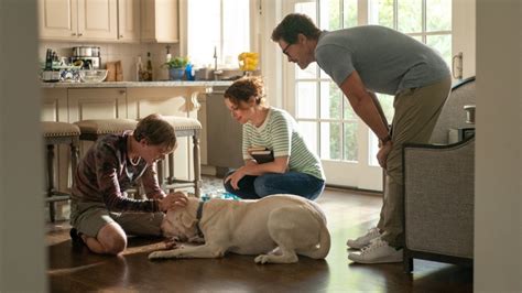 Dog Gone Cast Where Youve Seen The Stars Of Netflixs New Dog Movie