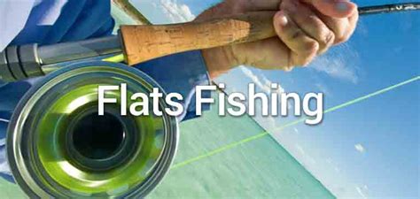 Bahamas Flats Fishing