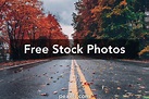 10,000+ Best Free No Copyright Photos · 100% Free Download · Pexels ...