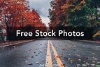 10,000+ Best Free No Copyright Photos · 100% Free Download · Pexels ...