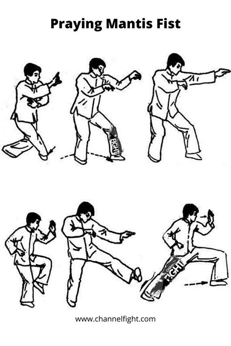 Pin On Wushu Martial Arts
