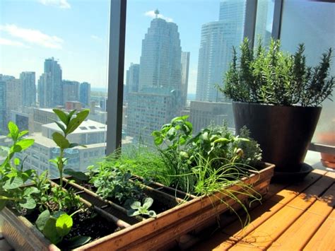 Grass On The Balcony How To Create An Herb Garden