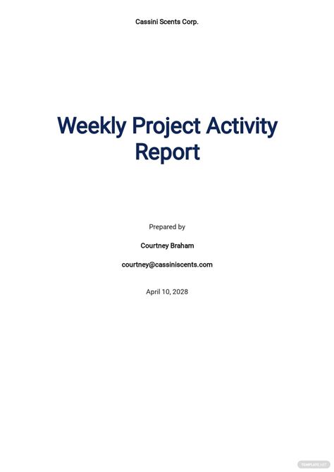Free Weekly Report Templates 44 Download Illustrator Word Excel