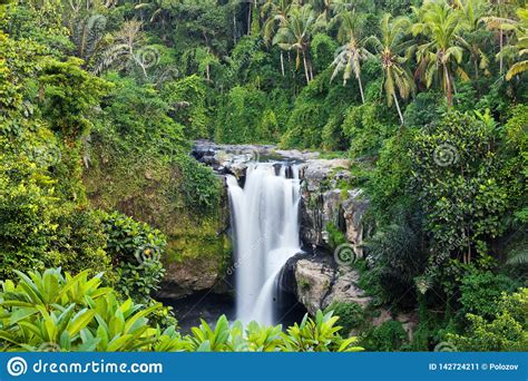 big-waterfall-in-exotic-tropical-forest-stock-image-image-of-river