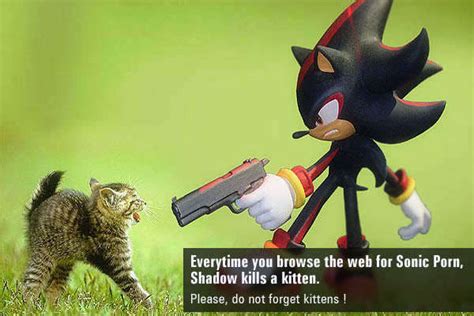 Wth Is Wrong With You Shadow Sonic Shadow And Download