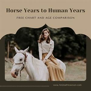Horse Years To Human Years Free Chart And Age Comparison