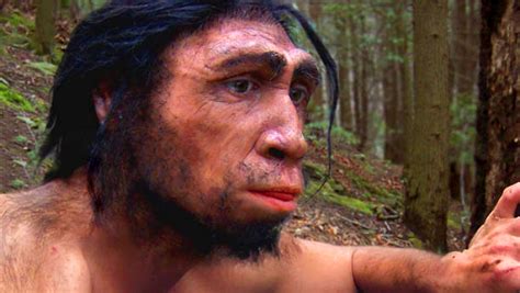 Homo Erectus 1 4 Million Year Old Human Like Hand Bone Found