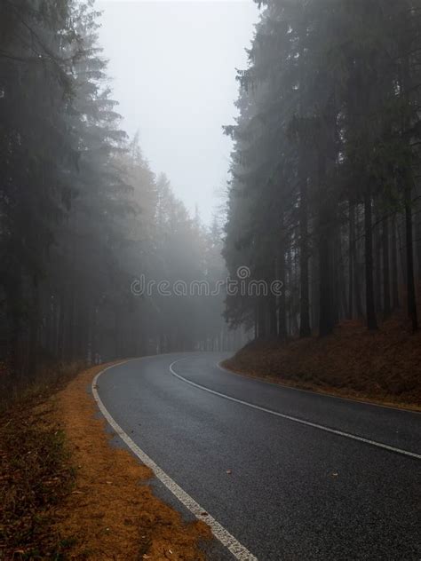 Asphalt Road In The Forest In Fog Autumn Landscape Stock Photo Image