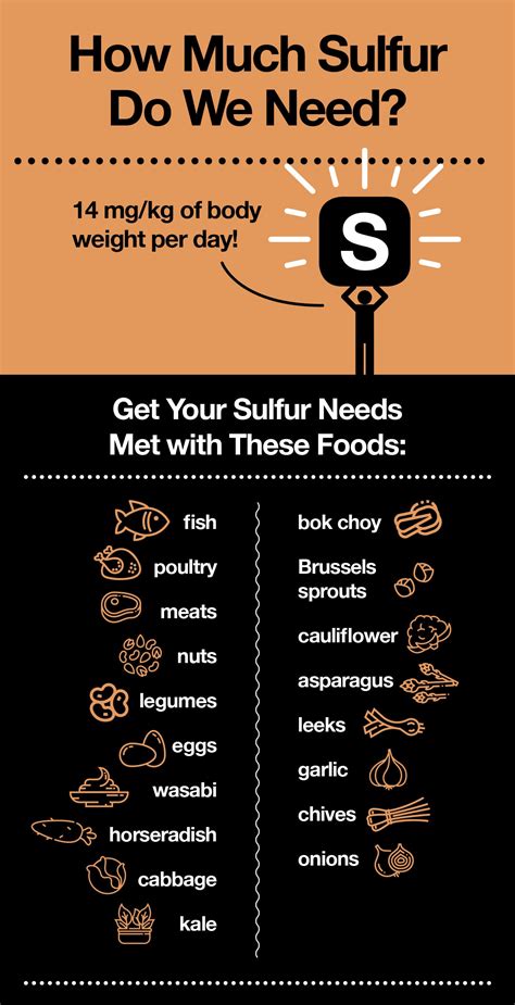 Foods Rich In Sulfur And Why You Should Be Eating More Of Them The