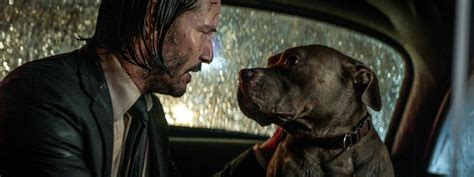 John Wick Once Killed Off Keanu Reeves Puppy But Now Its A Full On