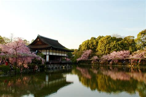 Sakura, a Japanese Fairytale - World Travel Bug
