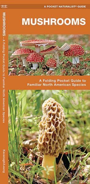 Mushrooms Guide In 2020 Edible Wild Plants Stuffed Mushrooms North