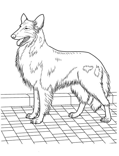 Lassie Coloring Pages Coloring Nation